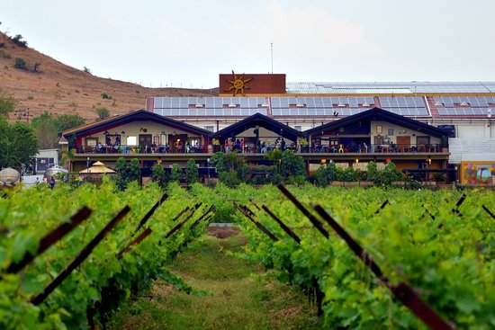 nashik-wineries